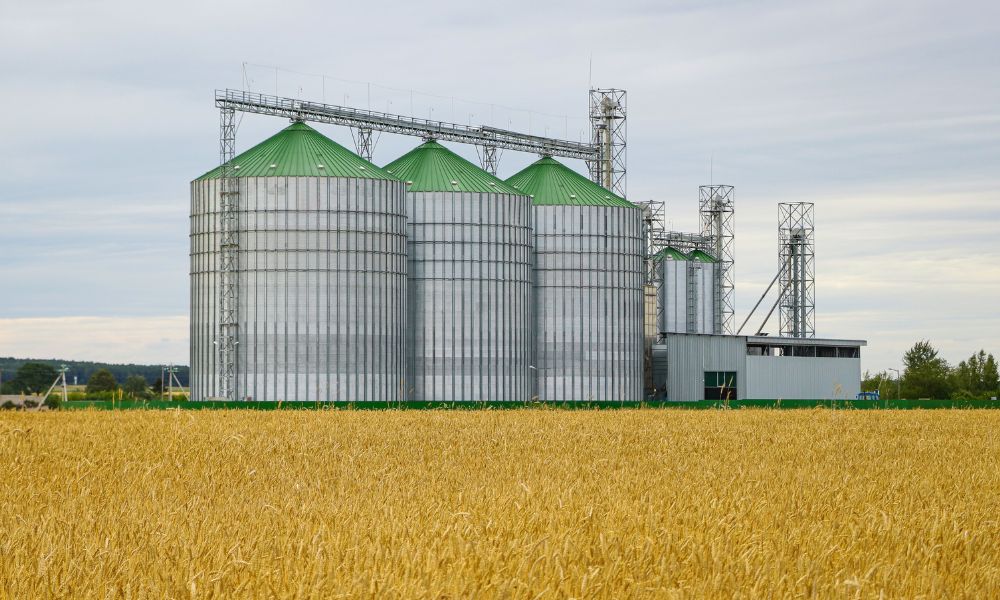 How On-Farm Grain Storage Pays for Itself
