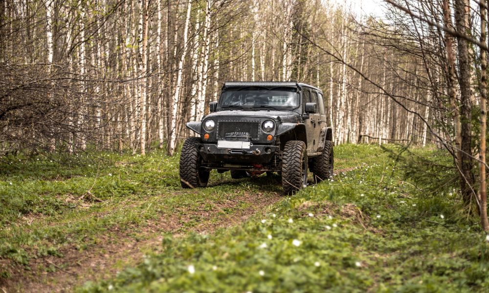 Best Vehicles for Off-Roading Enthusiasts