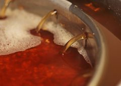 5 Ways To Know if Your Brew Is Contaminated