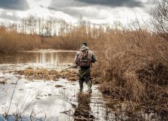 4 Tips To Help Your Predator-Hunting Experience